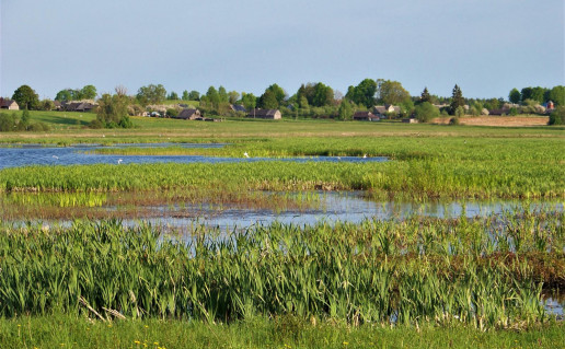 21. Žemaitiškių pievos (nuo bokštelio ) S.Mudinienė.jpg
